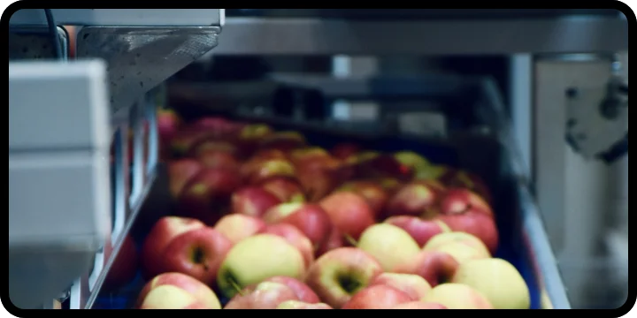 Inspección y transportación de producto en la industria de los alimentos.