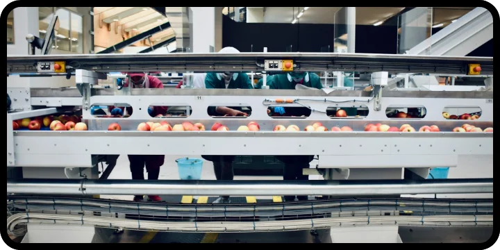 Proceso de inspección, selección y aseguramiento de la calidad en la industria de los alimentos.