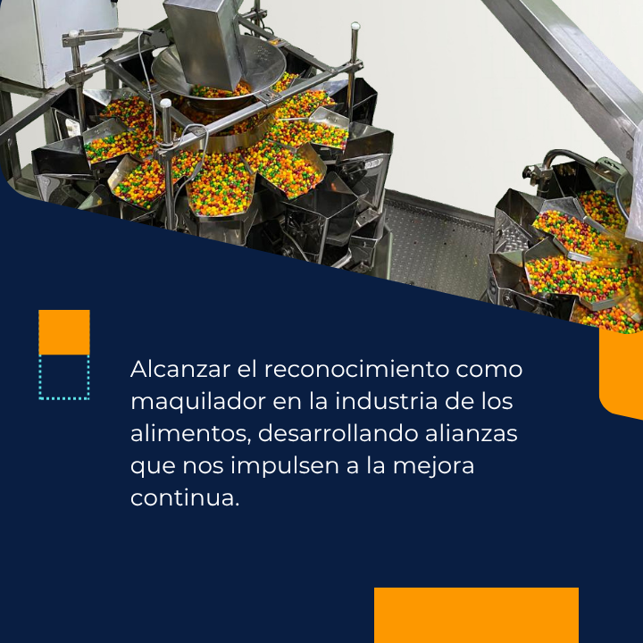 Visión como valor empresarial en MAQSA.